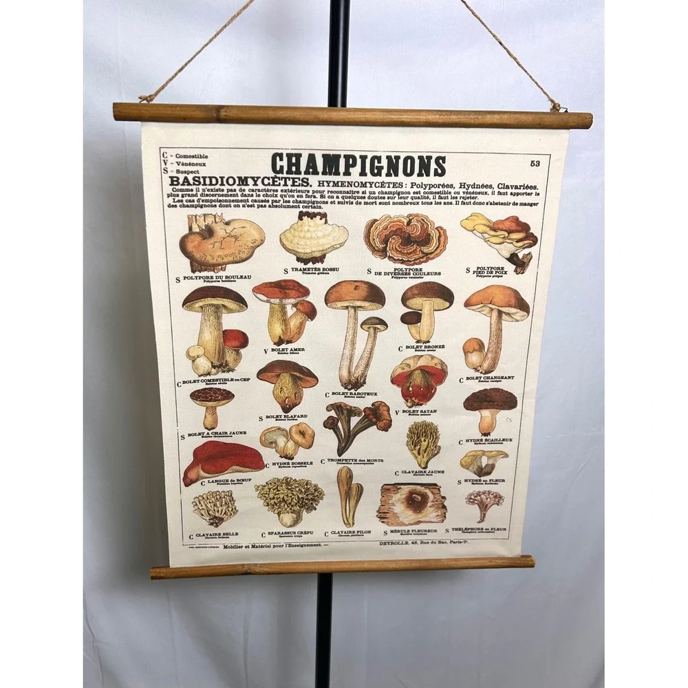 Vintage French Mushroom Botanical Scroll Wall Hanging Canvas Fungi Chart Art
